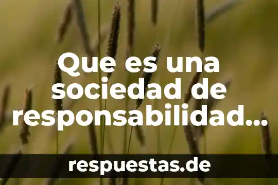 Información limitada que es 3 Que es una sociedad de responsabilidad limitada microindustrial