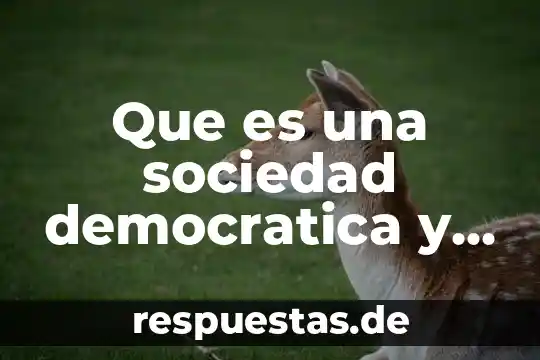 Por que es indispensable la toleancia en una sociedad democratica 8 Que es una sociedad democratica y pluralista