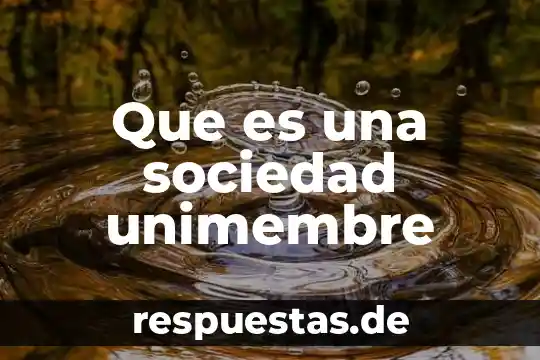 Que es el utilitarismo en filosofía 6 Que es una sociedad unimembre