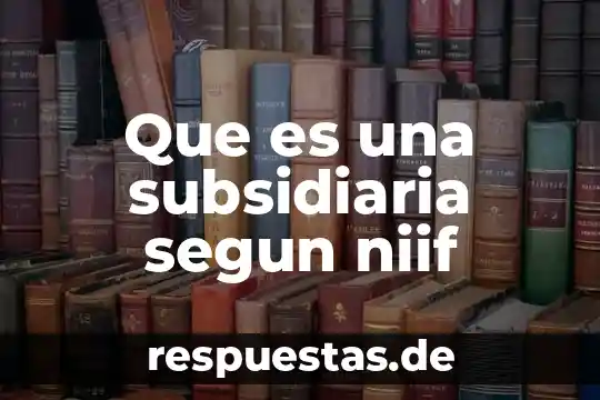 Que es una niif norma de informacion financiera concepto 4 Que es una subsidiaria segun niif