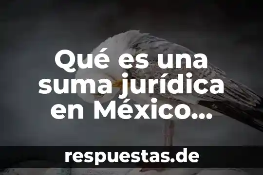 Qué es el arte contemporáneo y ejemplos 3 Qué es una suma jurídica en México contemporáneo
