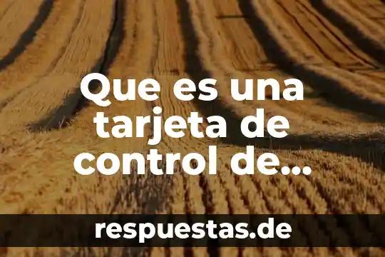 Que es una tarjeta de control de existencias al almacén