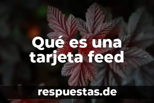 Que es un alias en tarjeta de credito 5 Qué es una tarjeta feed