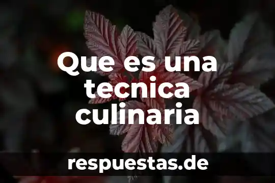 Qué es escepticismo en contabilidad 5 Que es una tecnica culinaria