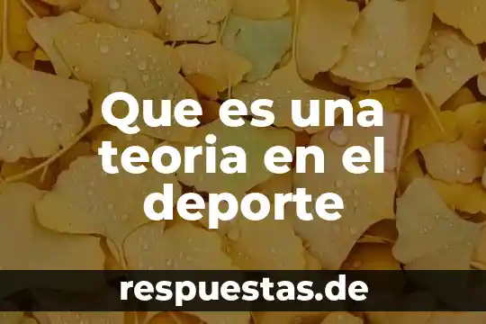 Que es la teoria del conocimiento de hessen 3 Que es una teoria en el deporte