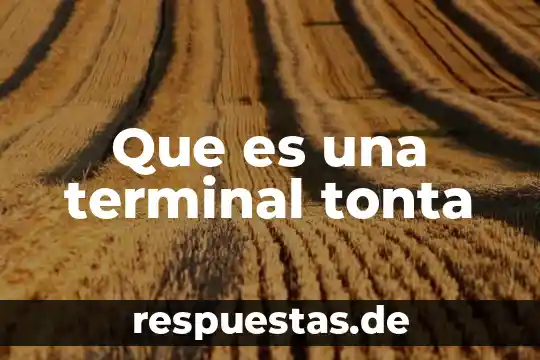 Que es el terminal en linux 3 Que es una terminal tonta