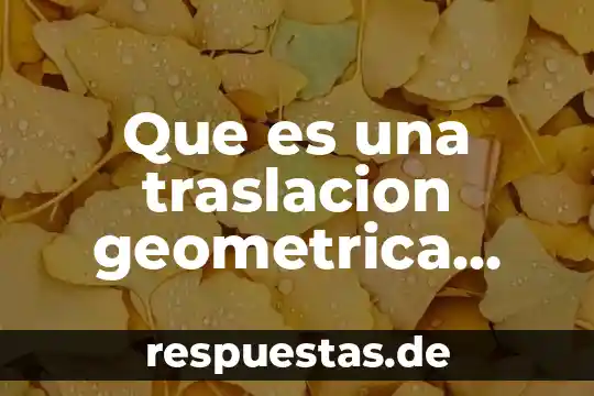 Que es el perimetro de una figura geometrica plana 7 Que es una traslacion geometrica matematica