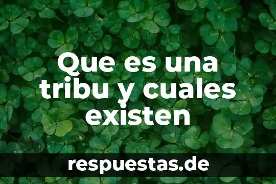 Que es significa coneval y cuales son sus objetibos 7 Que es una tribu y cuales existen