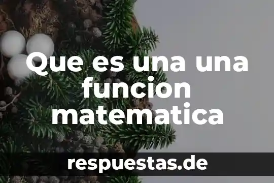 Que es una fncion matematica 7 Que es una una funcion matematica