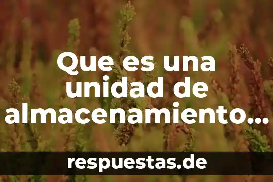 Para que es el trameel sol gotas 6 Que es una unidad de almacenamiento ejemplos