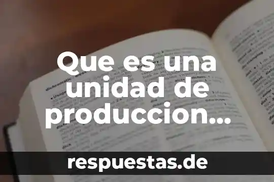 Que es unidad organisativa 6 Que es una unidad de produccion sinegetica
