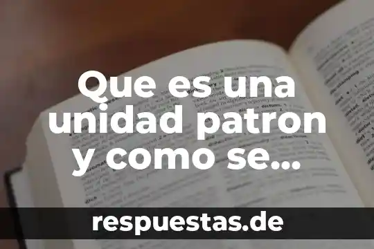 Que es unidad organisativa 4 Que es una unidad patron y como se determina