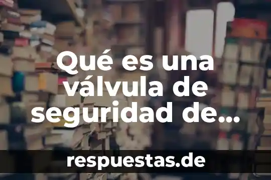 Que es la seguridad en una sociedad 8 Qué es una válvula de seguridad de aire