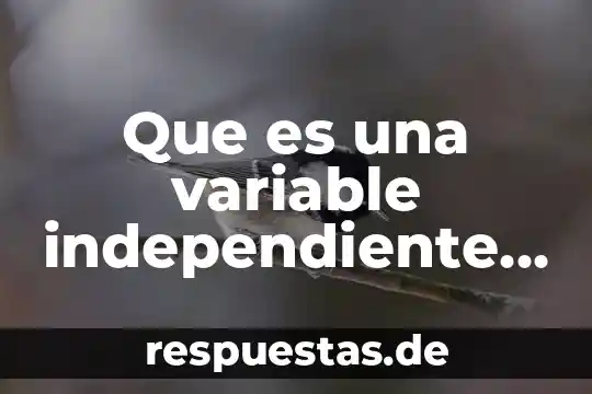 Que es un proyecto de vida independiente 8 Que es una variable independiente en seminario