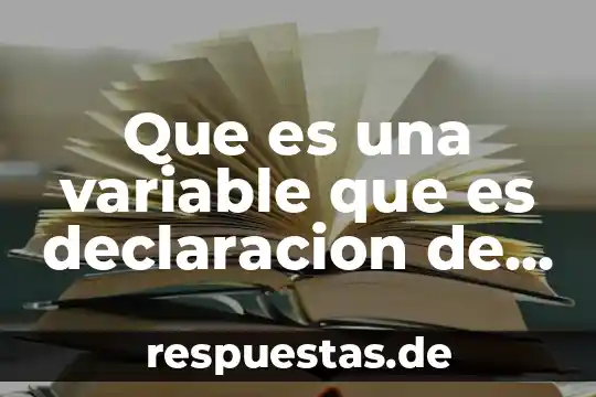 Qué es fr p c 7 Que es una variable que es declaracion de funciones en c