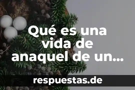Qué es postulación en arquitectura 8 Qué es una vida de anaquel de un alimento