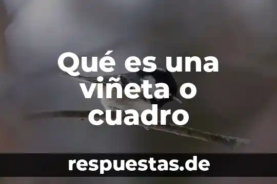 Qué es una viñeta o cuadro
