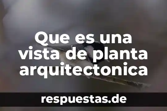 Qué es una planta arquitectónica 8 Que es una vista de planta arquitectonica