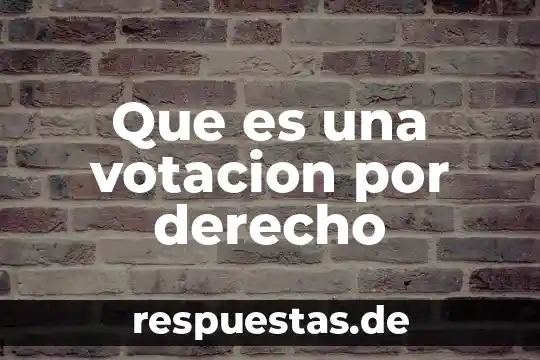 Que es el derecho de objecion de conciencia 5 Que es una votacion por derecho