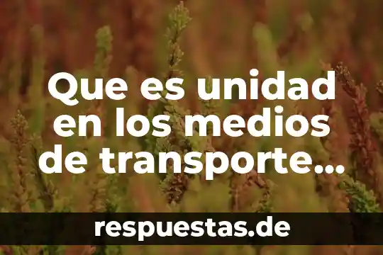 Que es unidad en los medios de transporte terrestre