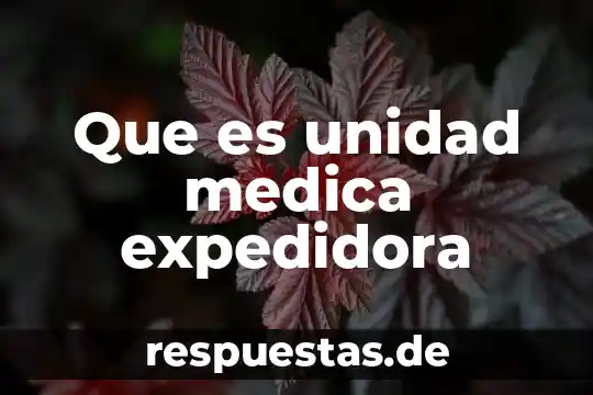 Qué es la bioenergética médica 3 Que es unidad medica expedidora