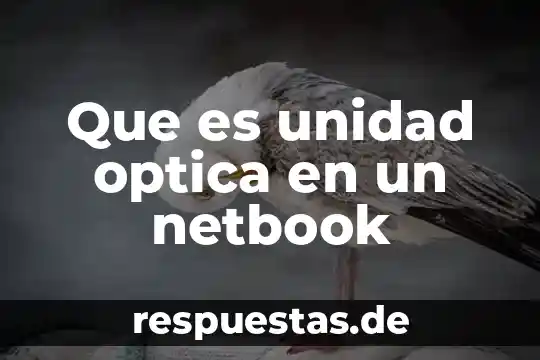 Historia sobre que es la óptica 5 Que es unidad optica en un netbook