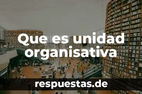 Que es una unidad patron y como se determina 8 Que es unidad organisativa