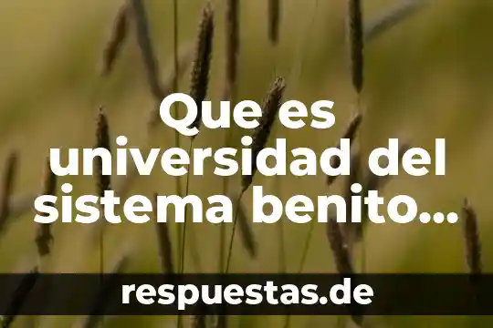 Qué es la universidad definición autores 8 Que es universidad del sistema benito juarez