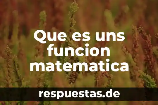 Que es funcion poetica o estetica 5 Que es uns funcion matematica