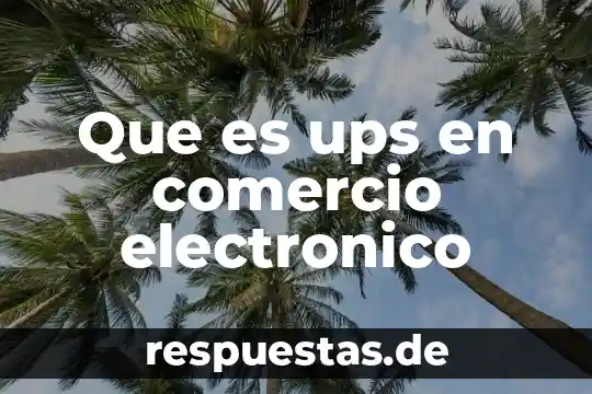 Qué es número del comercio 8 Que es ups en comercio electronico
