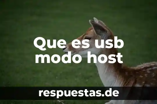 Que es el modo estrella 7 Que es usb modo host