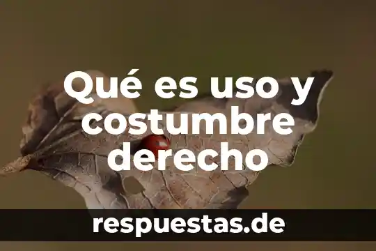 Que es estilo costumbre cultura y tradicion 8 Qué es uso y costumbre derecho