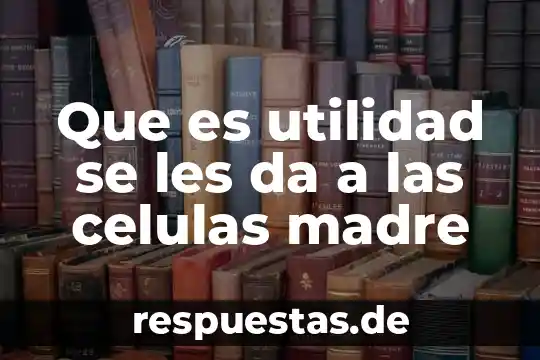 Que es utilidad se les da a las celulas madre