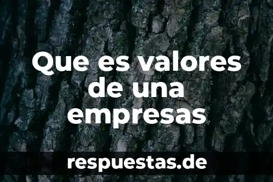 Exportaciones de valores que es 5 Que es valores de una empresas