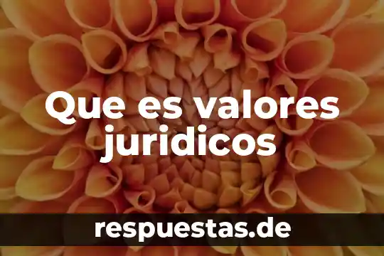 Que es lucidez en valores 6 Que es valores juridicos