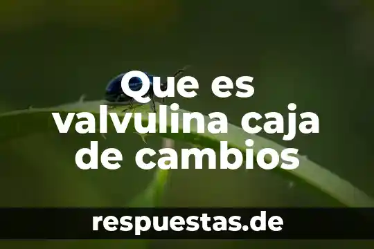 Modo sport o asistencial en palanca de cambios que es 8 Que es valvulina caja de cambios