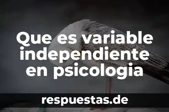 Que es un proyecto de vida independiente 5 Que es variable independiente en psicologia