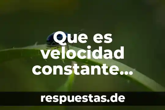 Que es velocidad y rapidez fisica 3 Que es velocidad constante matematicas