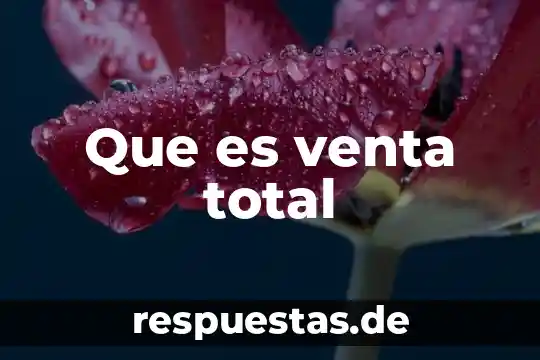 Que es el manejo total del agua 6 Que es venta total