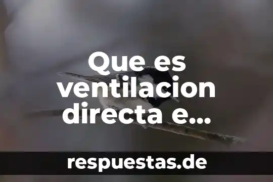 Qué es la democracia directa y la democracia indirecta 8 Que es ventilacion directa e indirecta en goggles de seguridad