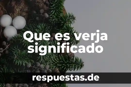Que es turbios significado 6 Que es verja significado