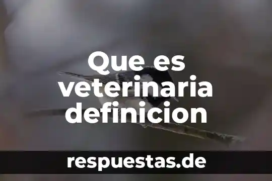 Qué es mala de conducta definición 5 Que es veterinaria definicion