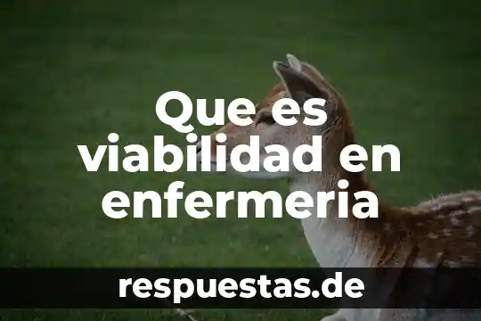 Que es una figura jiridica de un proyecto 4 Que es viabilidad en enfermeria
