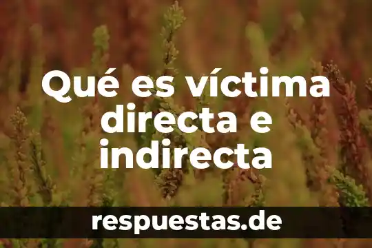 Qué es la democracia directa y la democracia indirecta 3 Qué es víctima directa e indirecta