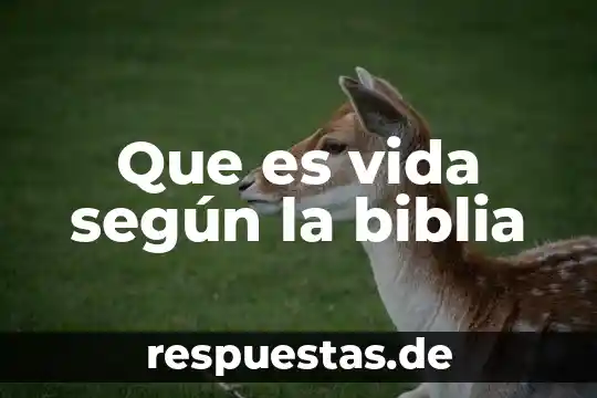 Que es vida según la biblia