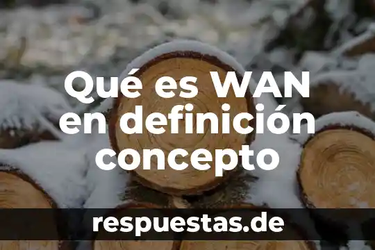 Qué es la santidad definición 8 Qué es WAN en definición concepto