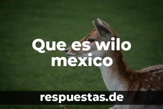 Que es un aborto eugenesico en mexico 6 Que es wilo mexico