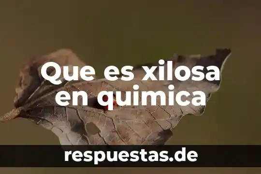 Qué es la acción grupal 5 Que es xilosa en quimica