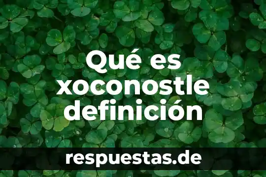 Qué es un talud definición c 4 Qué es xoconostle definición