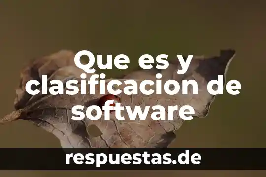 Que es y clasificacion de software
